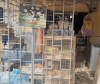 Addulaziz Provision Store