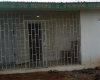 Merciful God Medicine & Provision Store